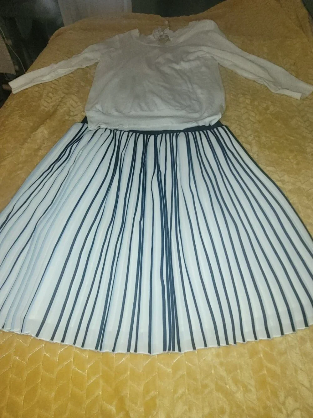 Jcrew pleaded skirt and top